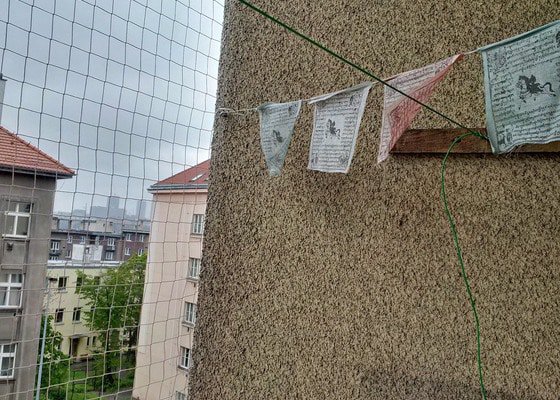 Instalace sítě proti ptactvu na balkon