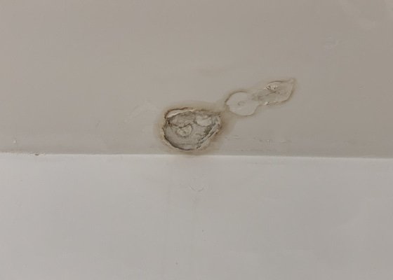 Oprava stropu v koupelne a dalsi male sanace omitky v byte