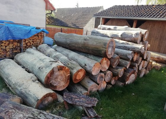 Pořezání palivového dřeva